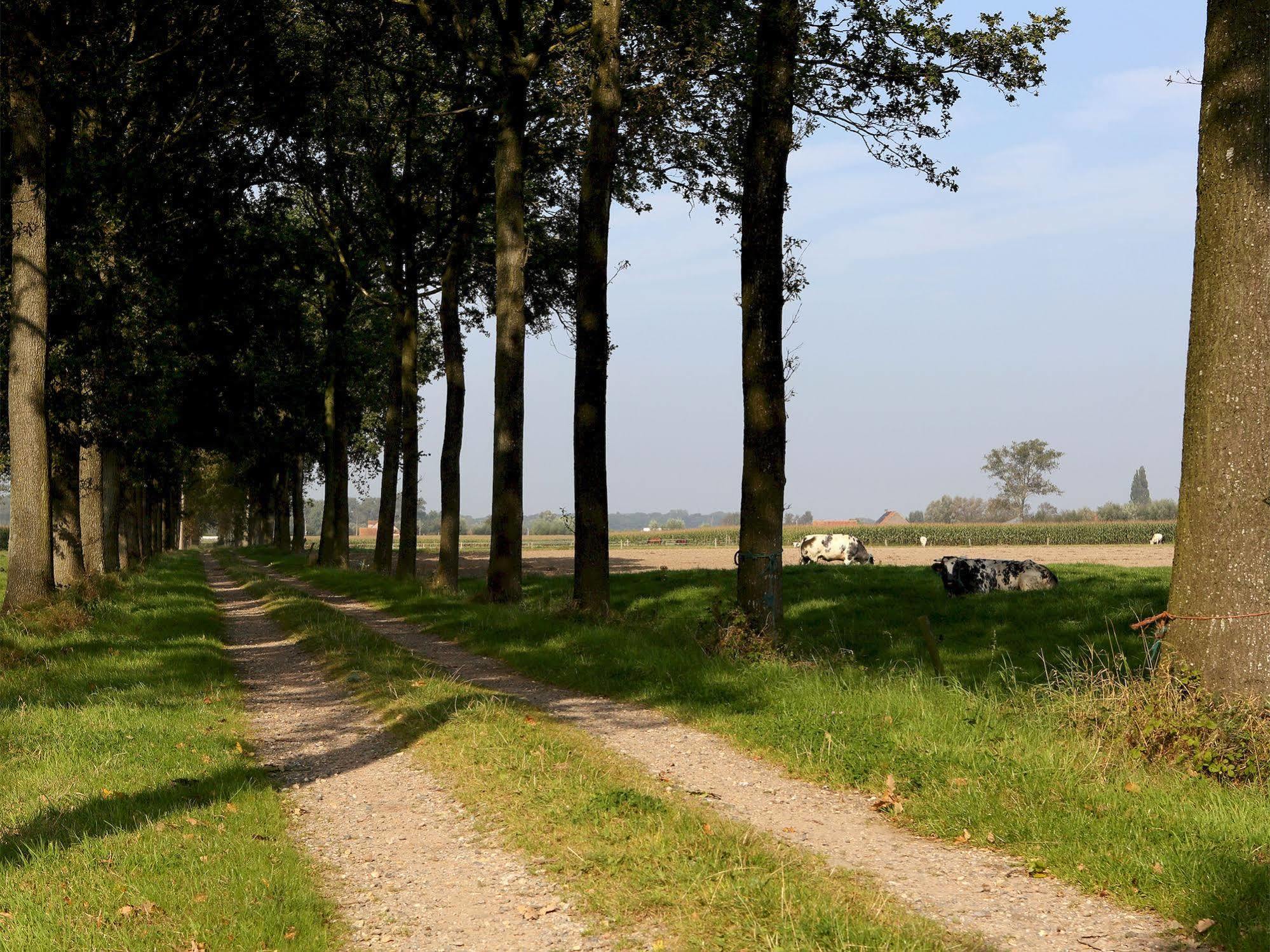 Hotel 'T Roodhof Oostkamp Bagian luar foto